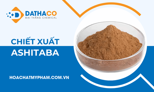 Chiết xuất Ashitaba giúp làm chậm lão hóa như thế nào?