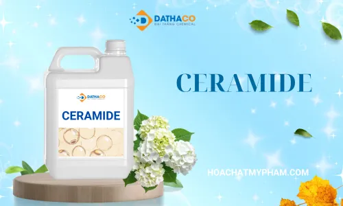 Ceramide 