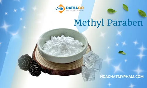 Methyl Paraben 