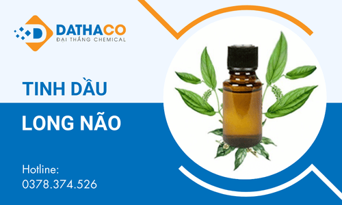 Tinh dầu long não là gì ? Cần lưu ý gì khi dùng tinh dầu long não ?