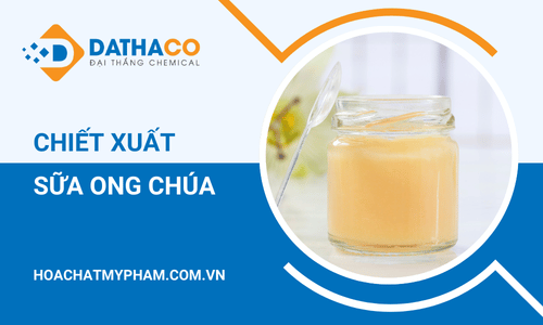 Chiết xuất sữa ong chúa có những lợi ích gì cho da ?